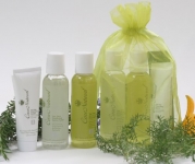 CareNatural Tea Tree Acne Free Skincare Travel Set, Natural & Organic