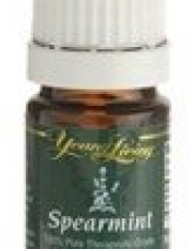 Spearmint by Young Living - 5 ml