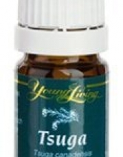 Tsuga Essential - 5 ml by Young Living Essential Oils