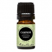 Camphor 100% Pure Therapeutic Grade Essential Oil by Edens Garden- 5 ml